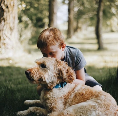 O.T.I.S. - Connecting Healthy Pups with Hurting Children