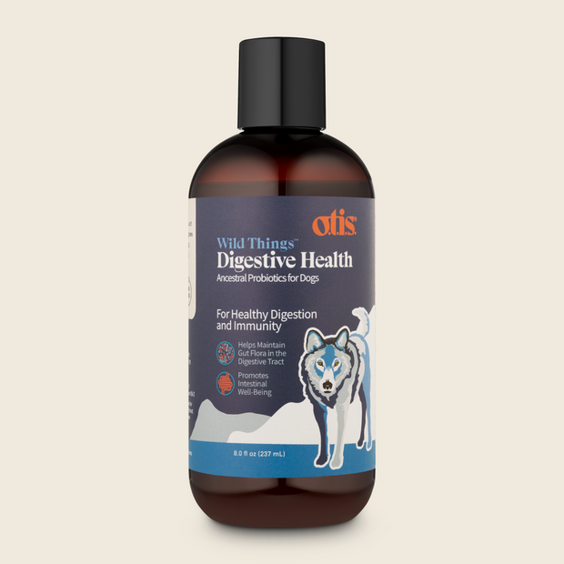 Digestive Health Ancestral Probiotic