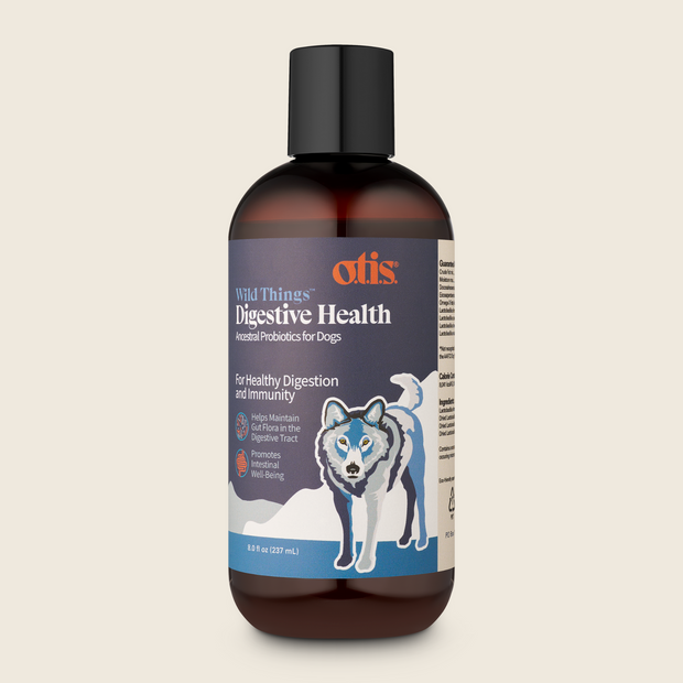 Digestive Health Ancestral Probiotic