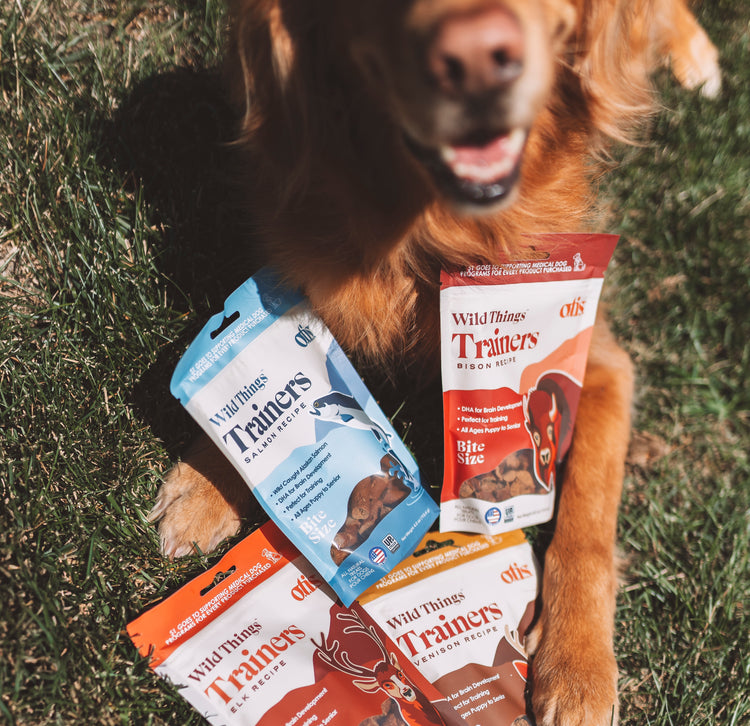 rehacer × WILD THINGS Where Wild Things Are ReAction Figure Blind Box | Free Shipping