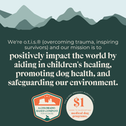 Trainers | Salmon Recipe