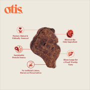 Image of individual Wild Things Bison Lung Filets; sustainable, grass fed, air dried bison lung treats for dogs, with highlighted benefits