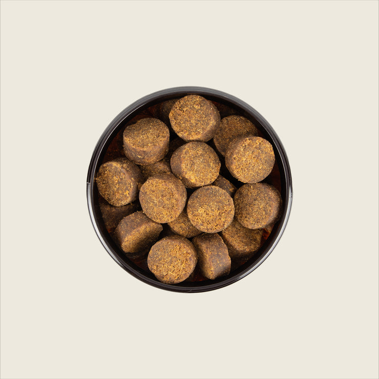 Top down look into open Soft Chews cannister.